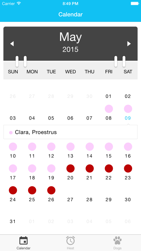 Dog Heat Cycle Chart